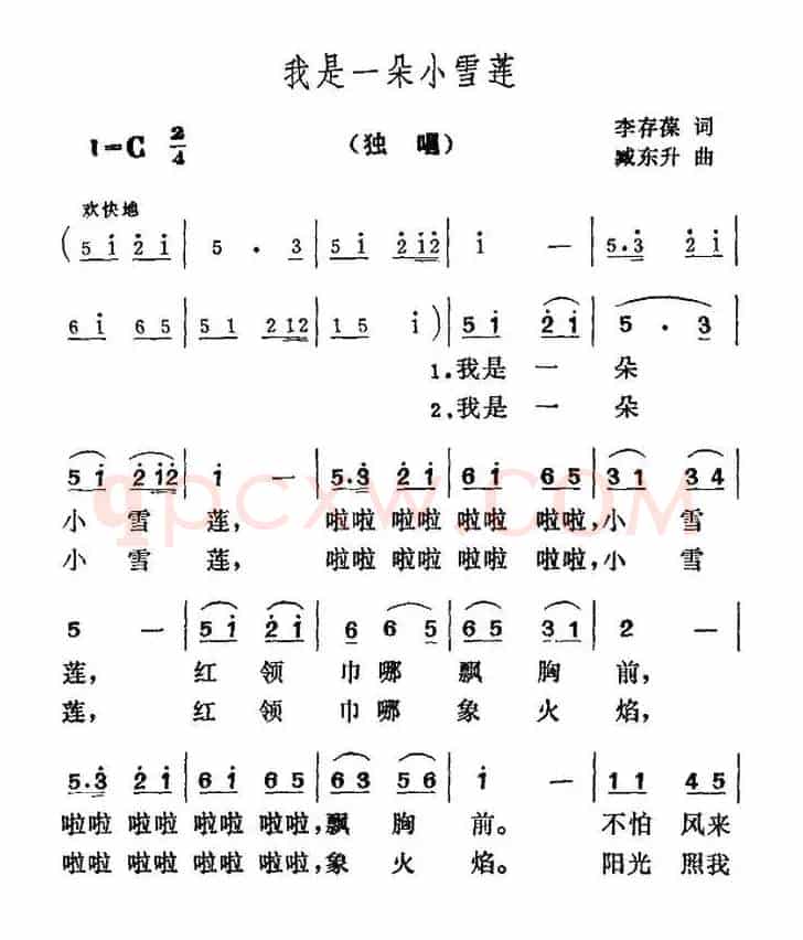 我是一朵小雪莲