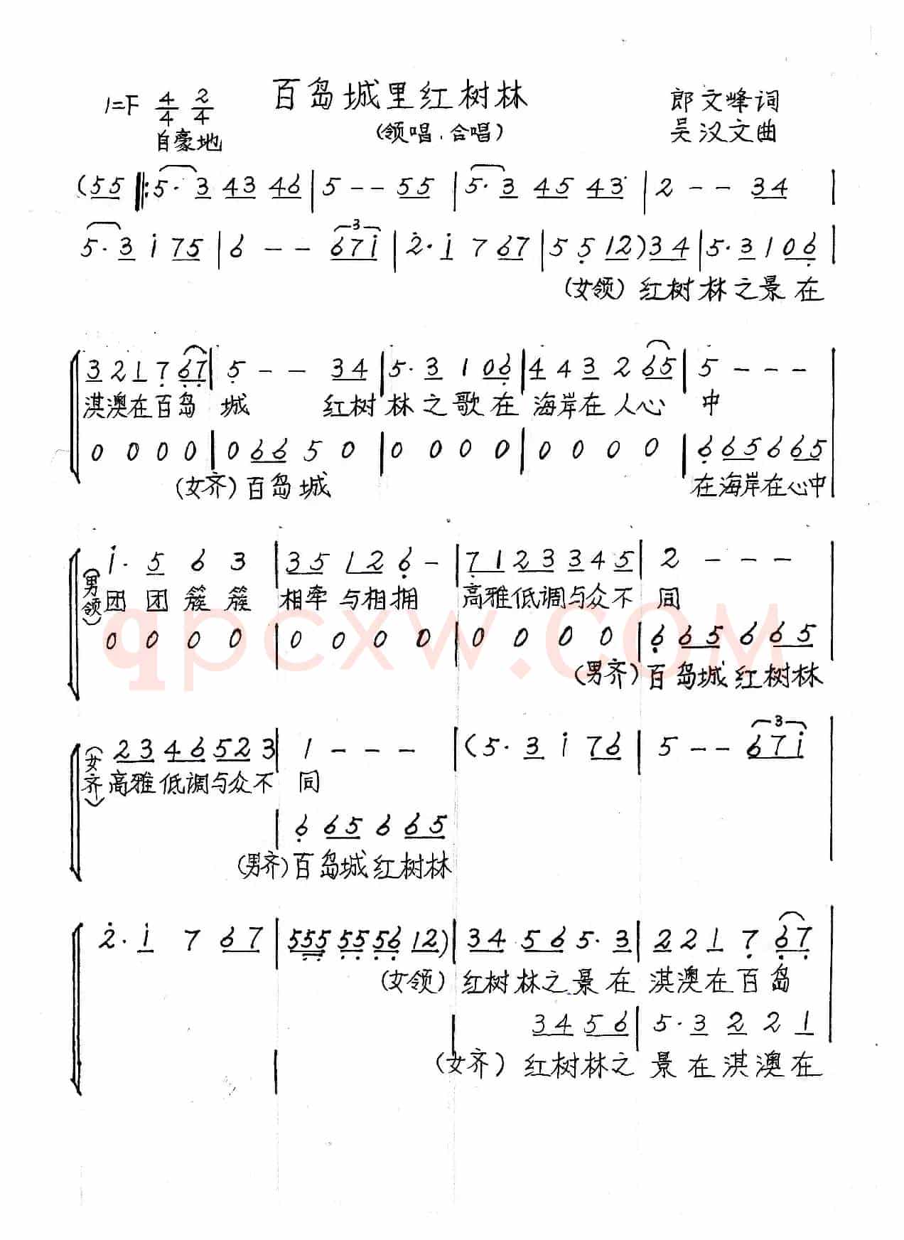 百岛城里红树林