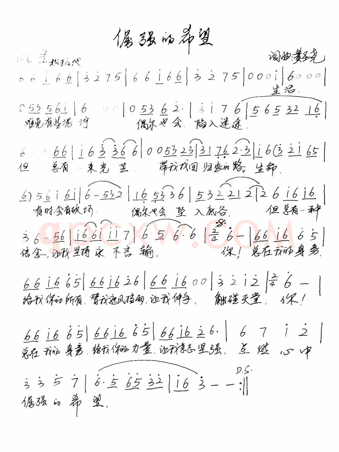 倔强的希望
