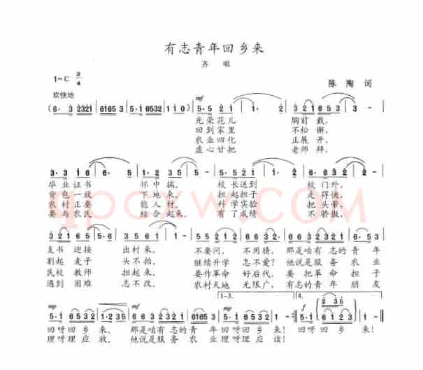 有志青年回乡来