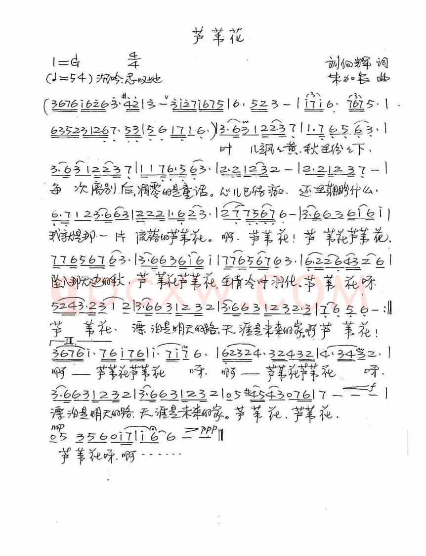 芦苇花（刘向辉词 朱加农曲）