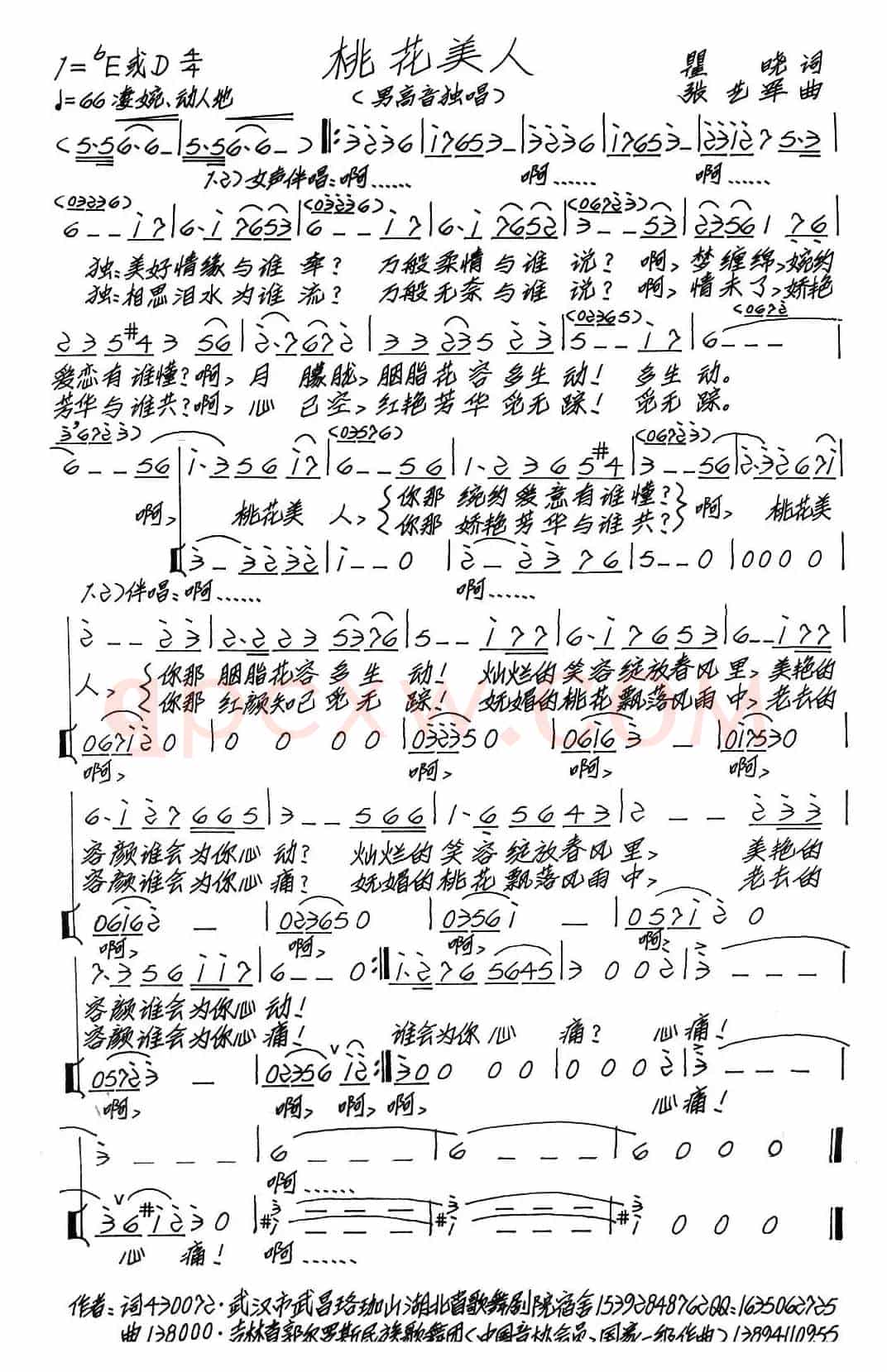 桃花美人（瞿晓词 张艺军曲）
