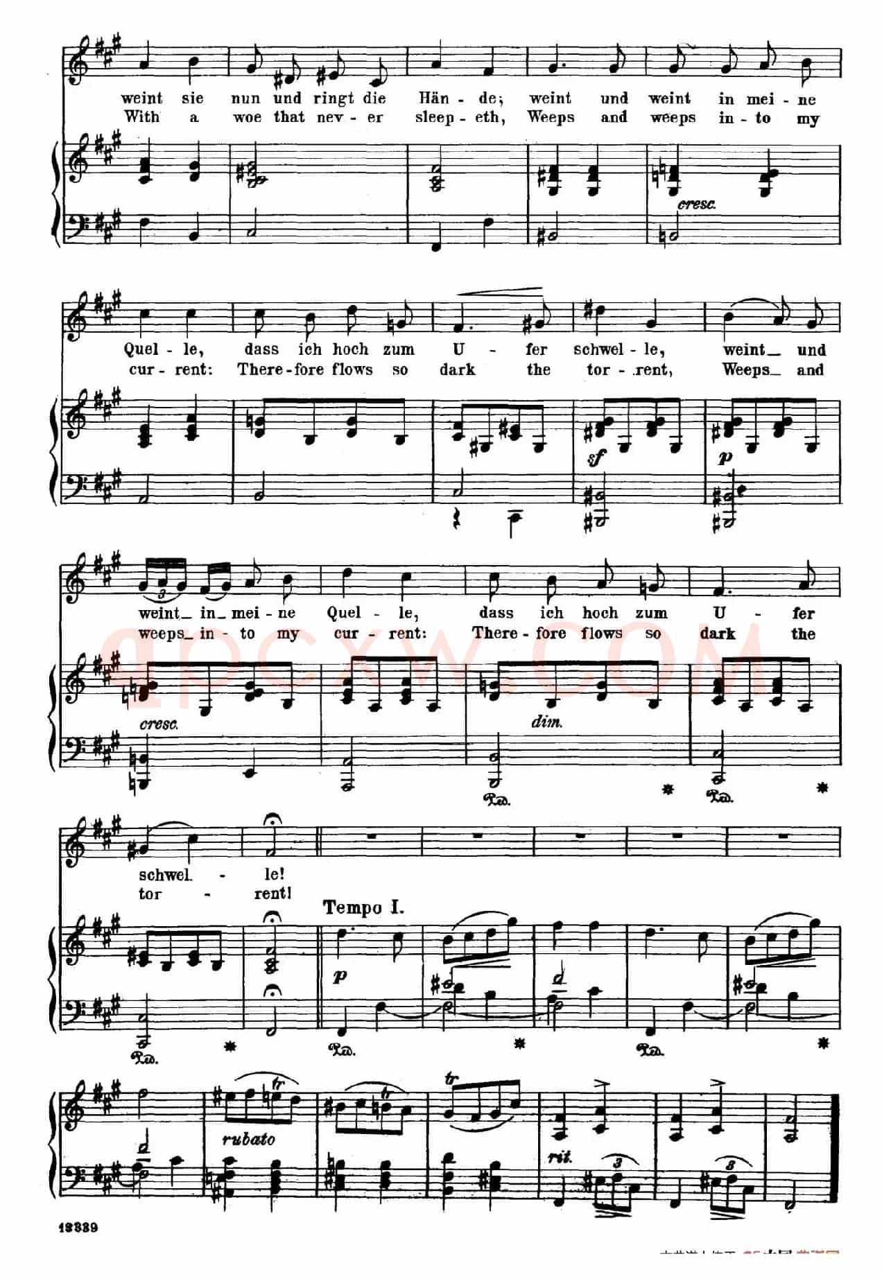 忧愁的小溪 Trube Wellen(正谱)