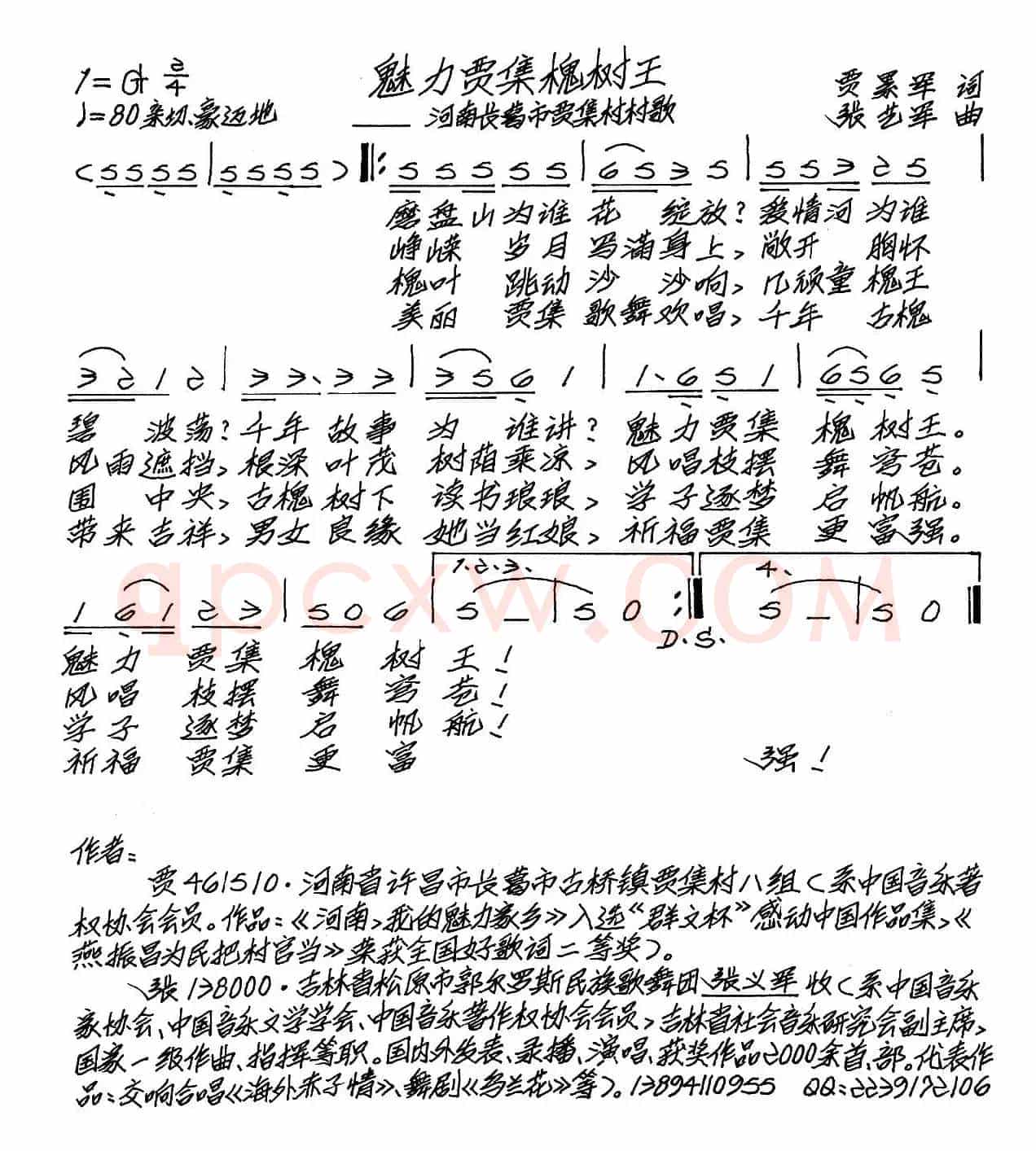 魅力贾集槐树王