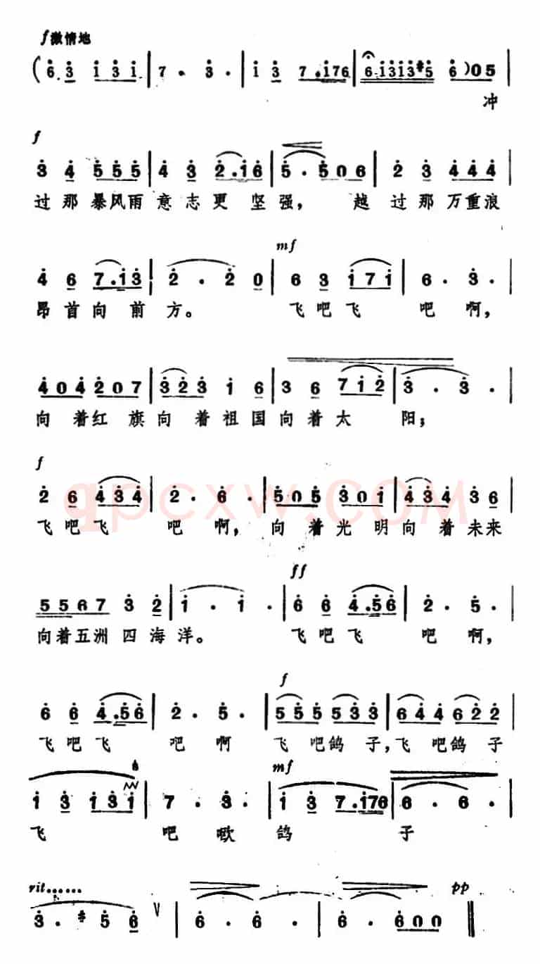 飞吧，鸽子（房子词 程恺曲）