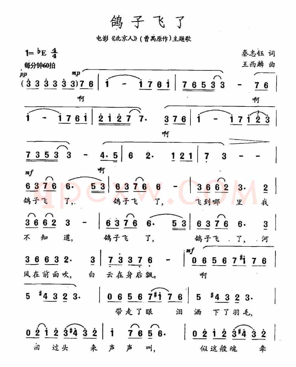 鸽子飞了（电影《北京人》主题歌）