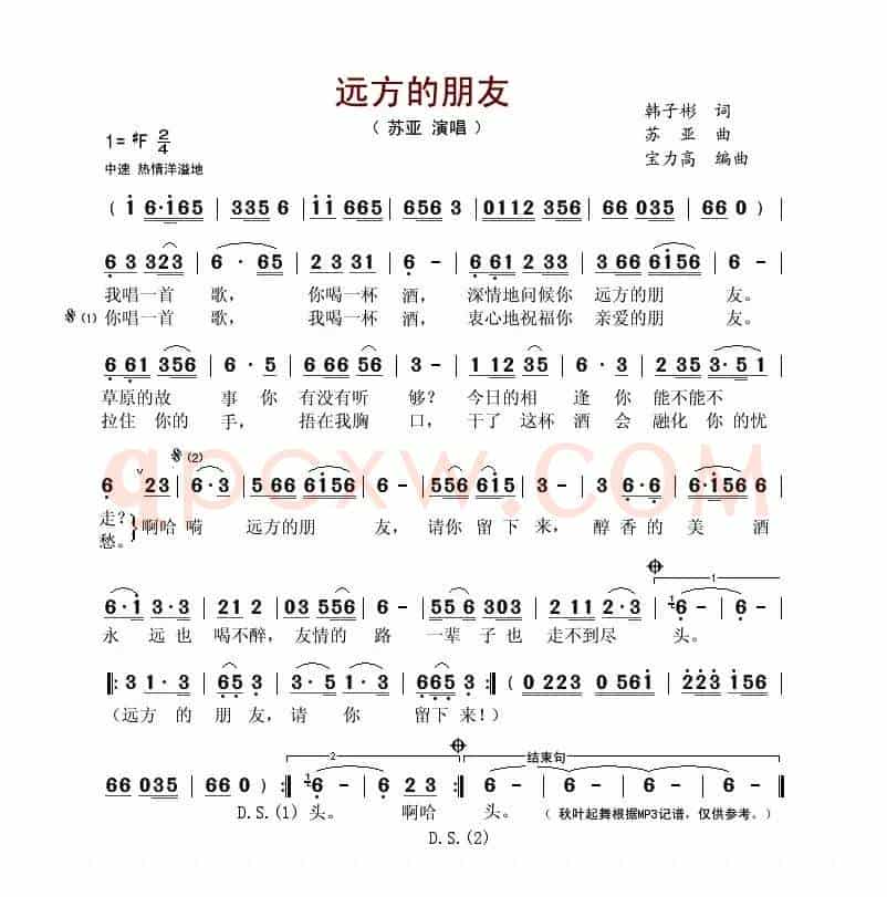远方的朋友