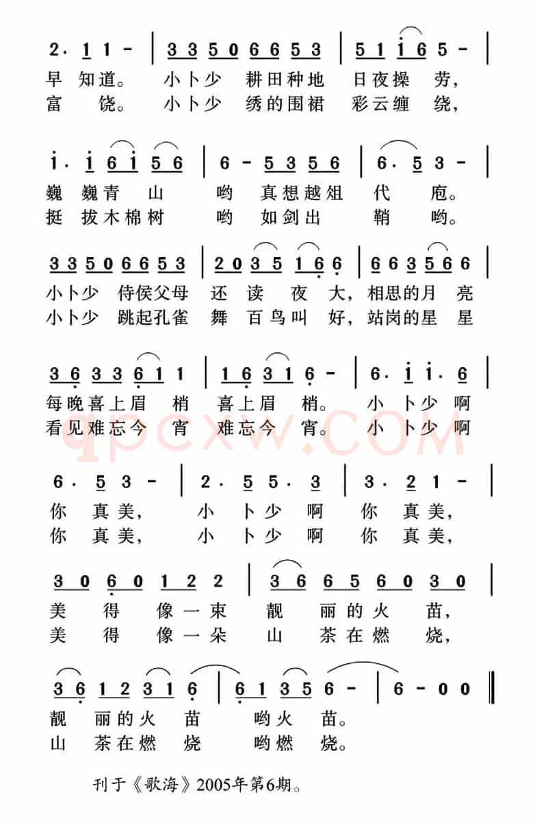 傣族小卜少