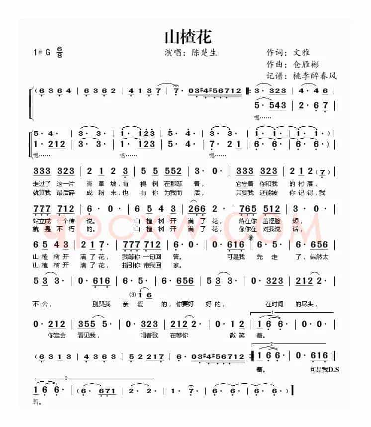 山楂花