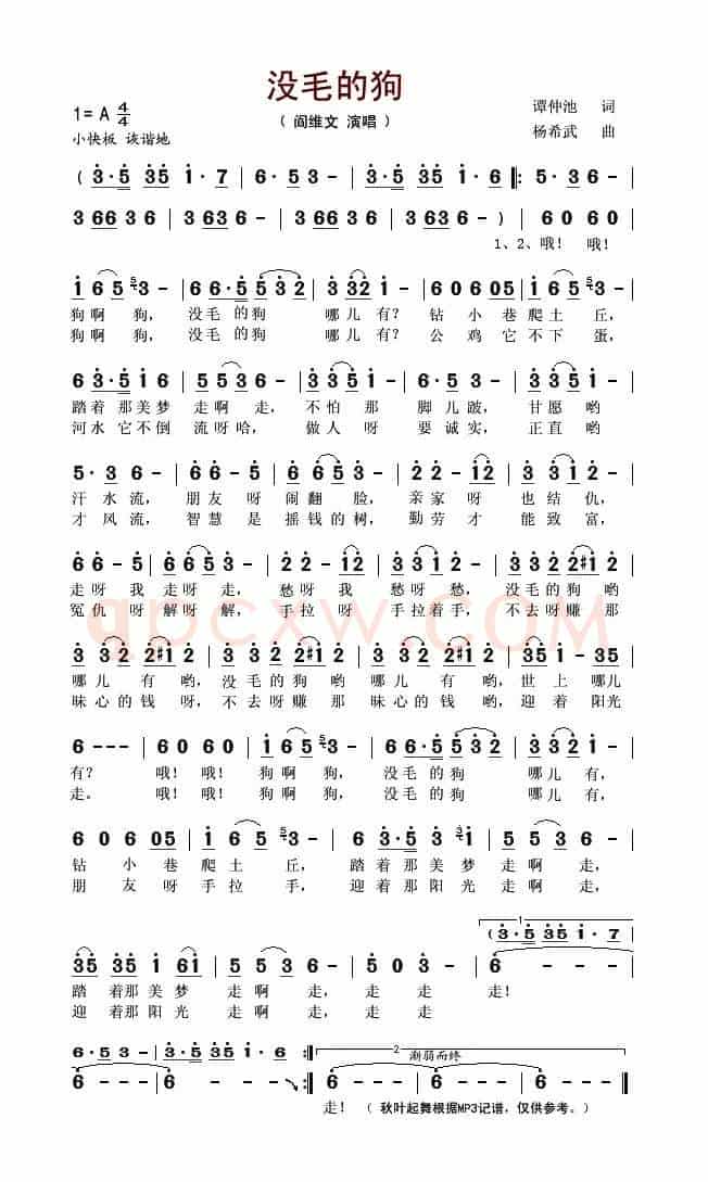 没毛的狗