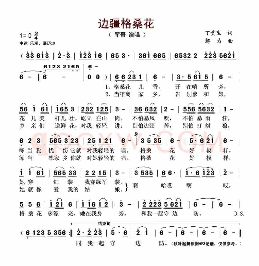 边疆格桑花