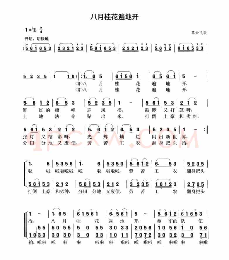 八月桂花遍地开(4个版本)