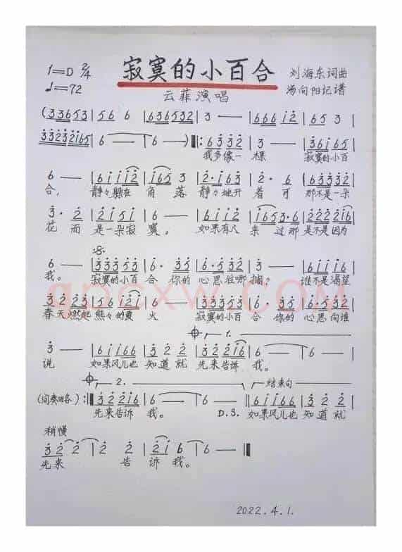 寂寞的小百合