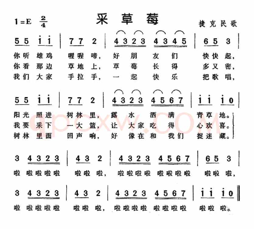[捷克]采草莓