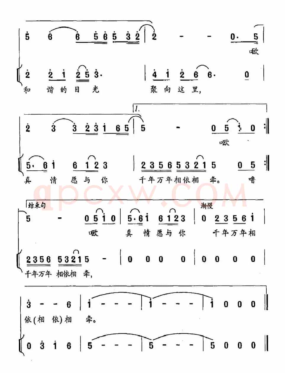 红海滩、黑嘴鸥