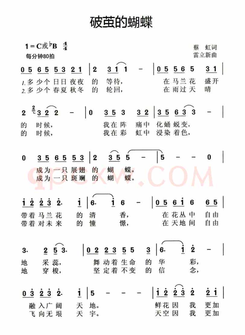 破茧的蝴蝶