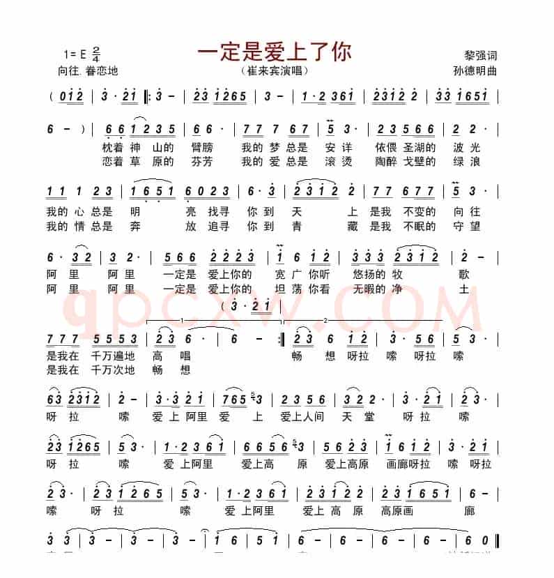一定是爱上了你
