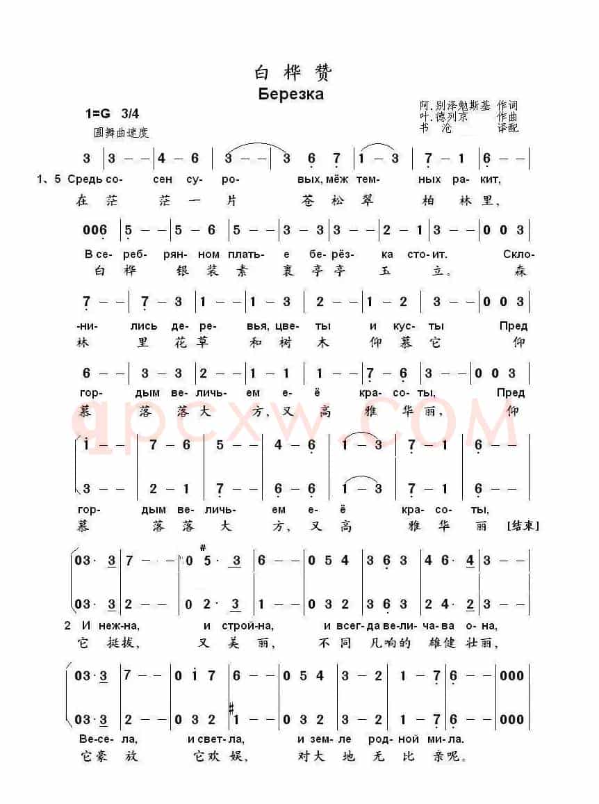 白桦赞Березка（中俄简谱）