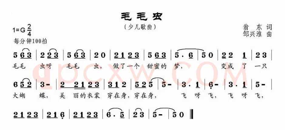 毛毛虫