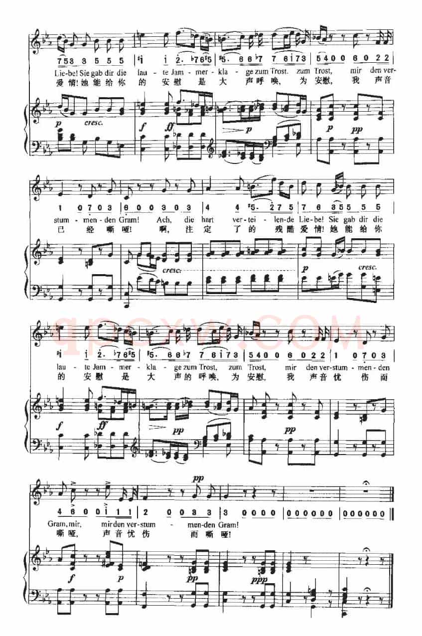Die laute Klage（大声的悲叹）（中外文对照、正谱+简谱）