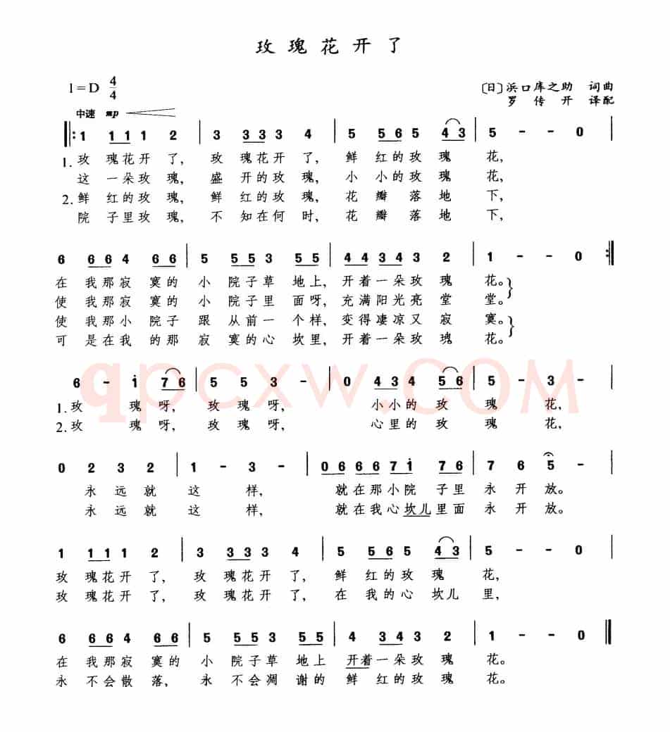 [日]玫瑰花开了