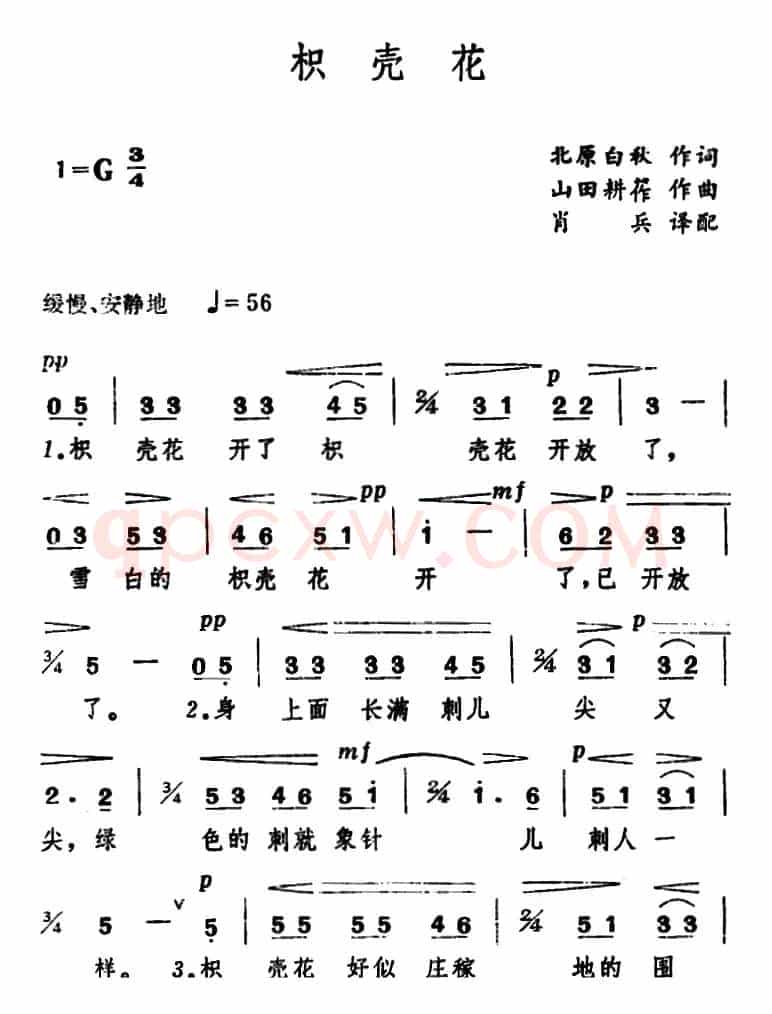 [日]枳壳花