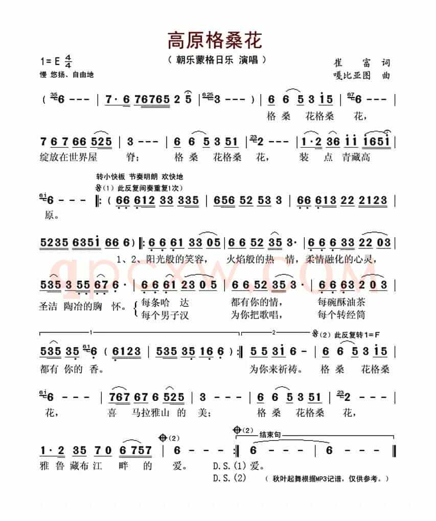 高原格桑花(崔富词 嘎毕亚图曲)