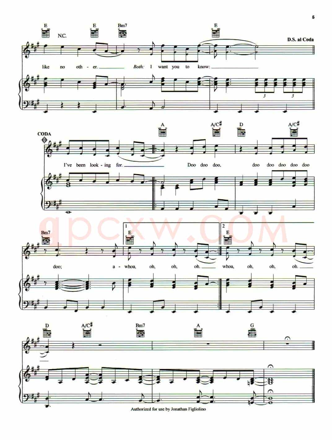 [美]What I've Been Looking For（我有多么寂寞）（正谱）