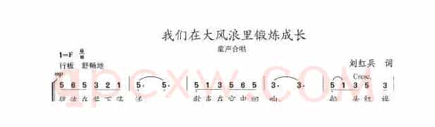 我们在大风浪里锻炼成长