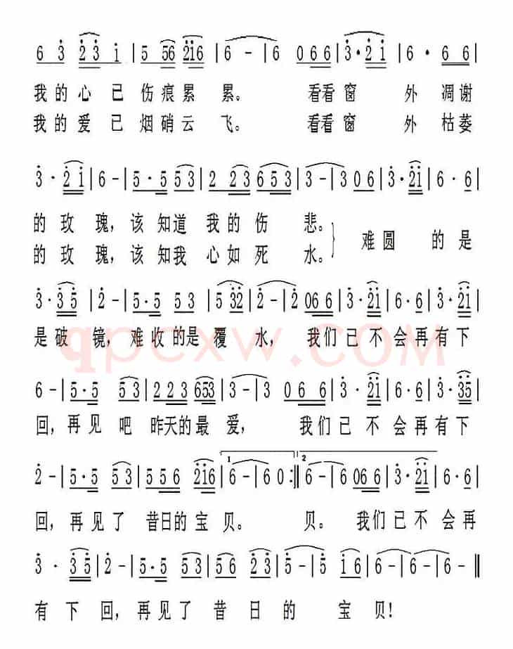 窗外的玫瑰