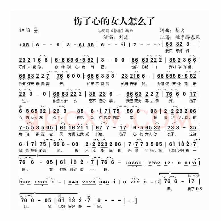 伤了心的女人怎么了（电视剧《贤妻》插曲）