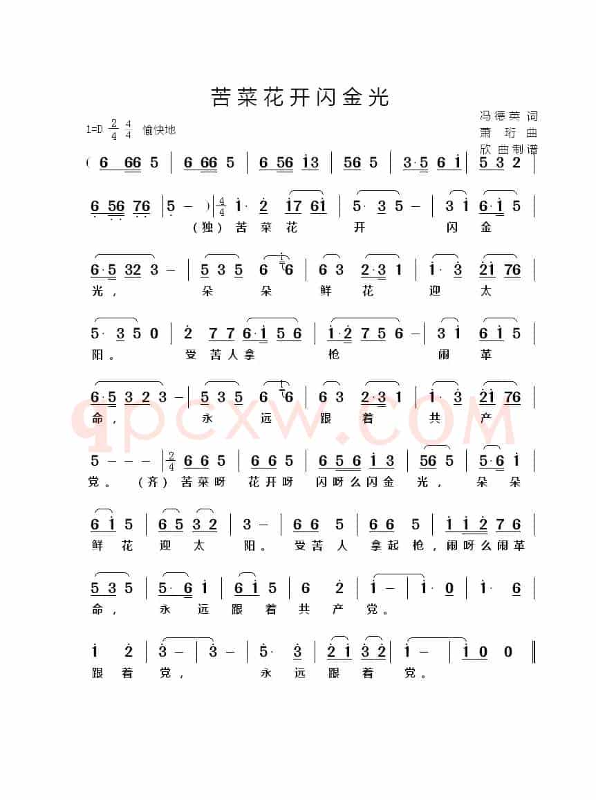 苦菜花开闪金光