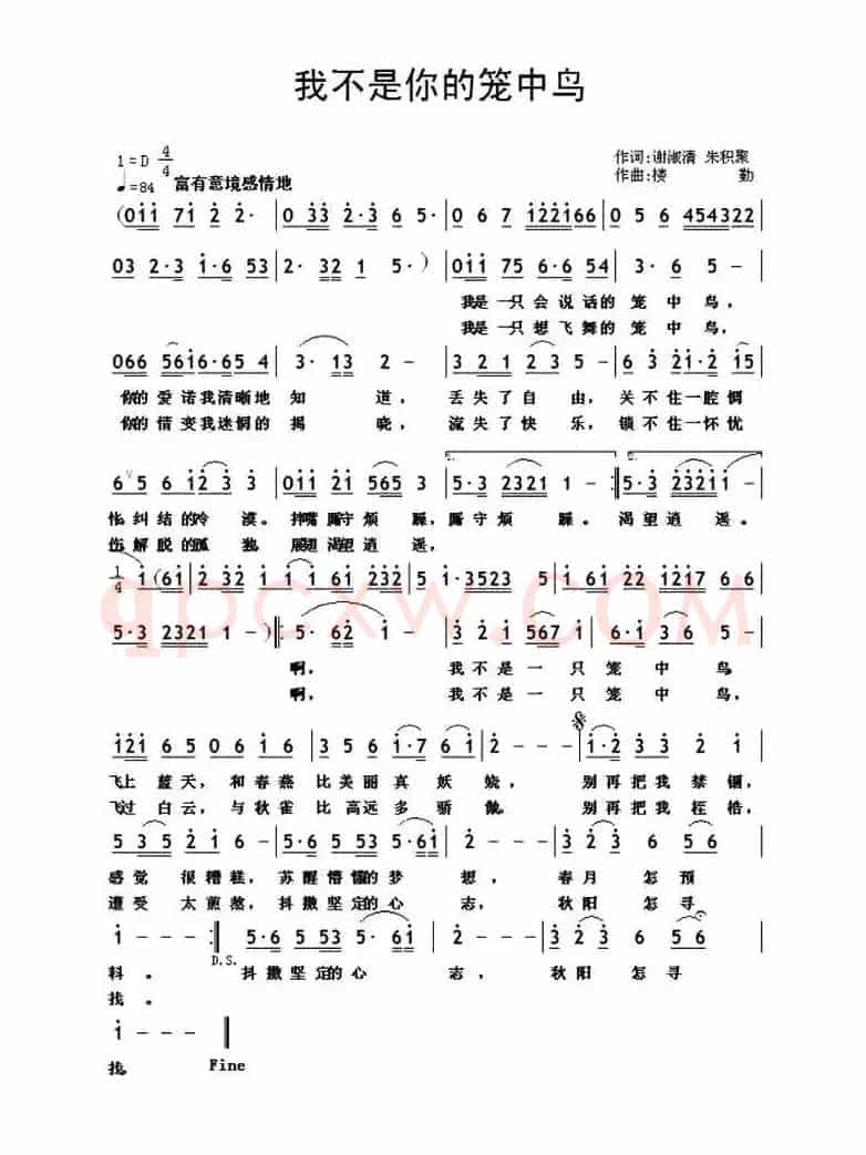 我不是你的笼中鸟