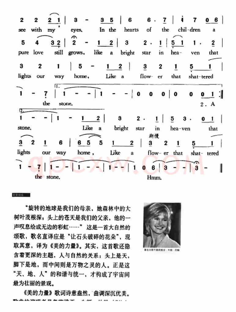 美的力量 