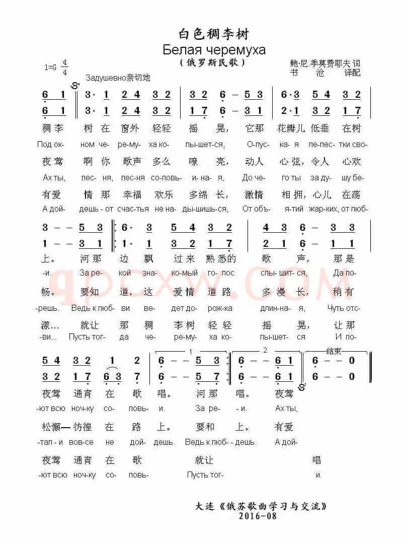 [俄]白色稠李树