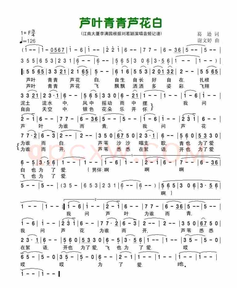芦叶青青芦花白