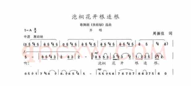 泡桐开花根连根
