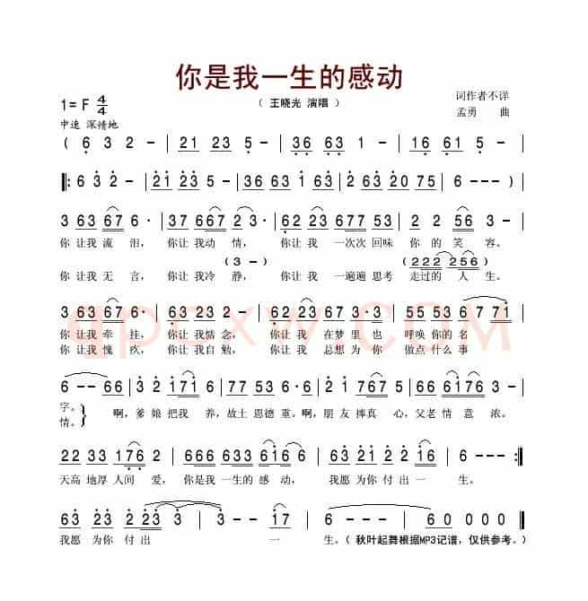 你是我一生的感动