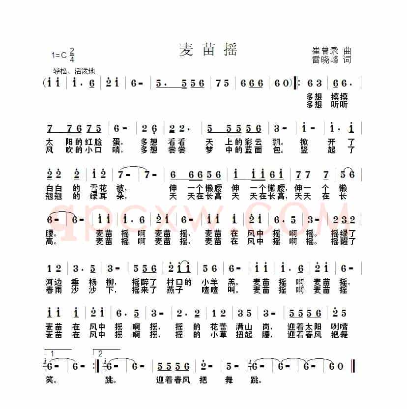 麦苗揺