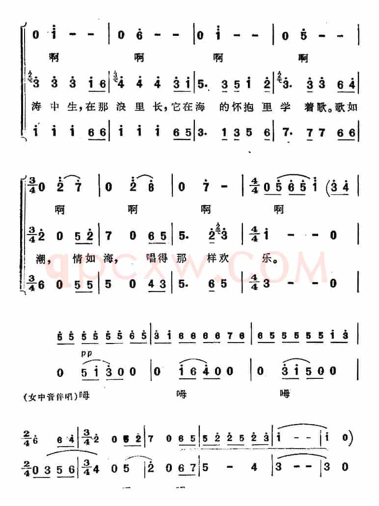 小贝壳(《海上生明月》音乐故事片歌曲)