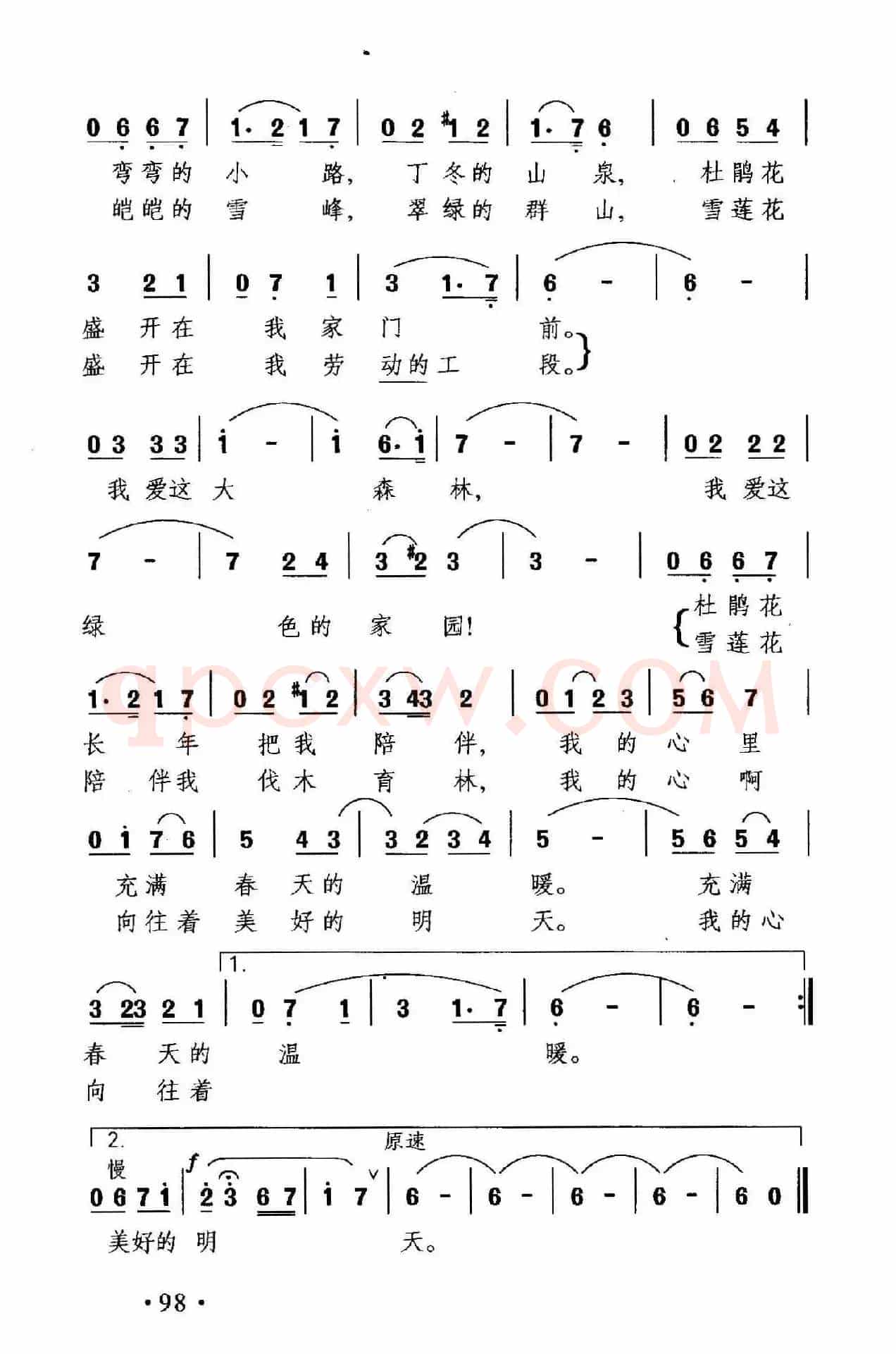我爱绿色的家园