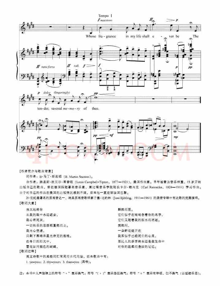 [美]心灵之花（正谱）
