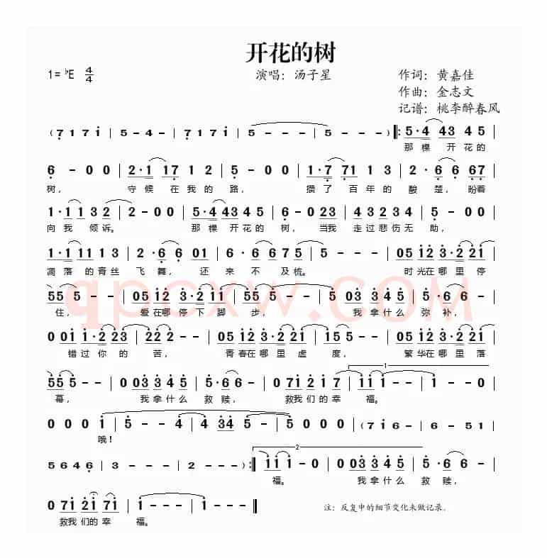 开花的树