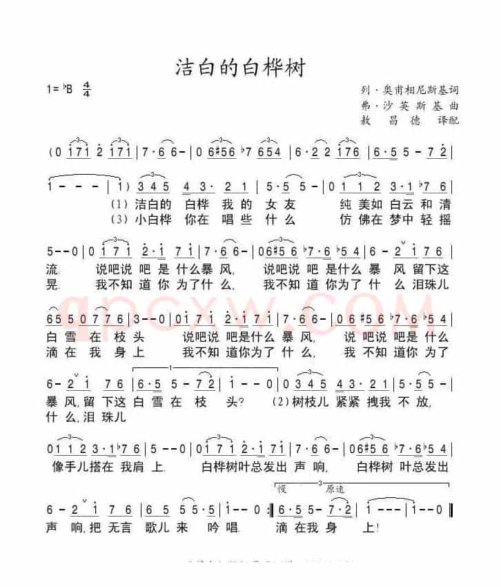 洁白的白桦树（俄）