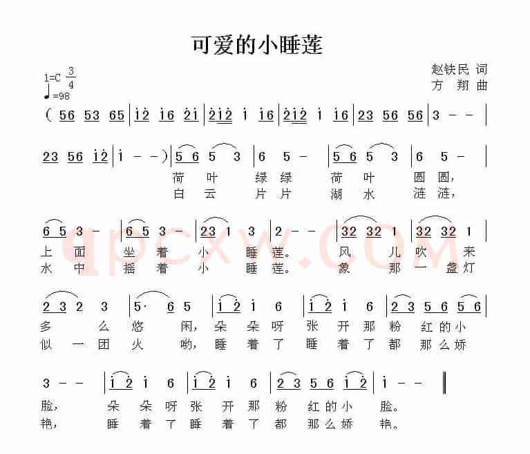 可爱的小睡莲