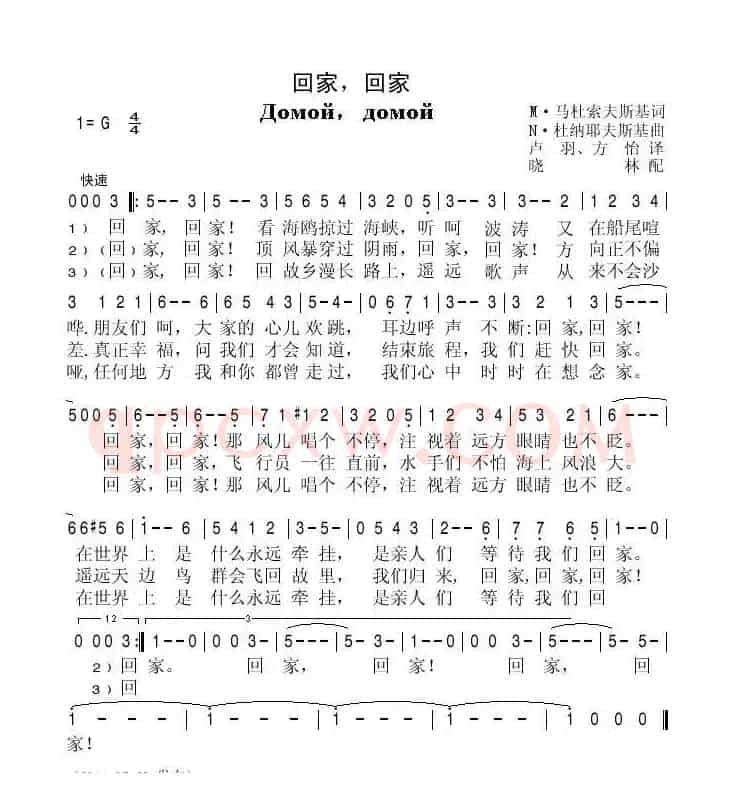 回家，回家