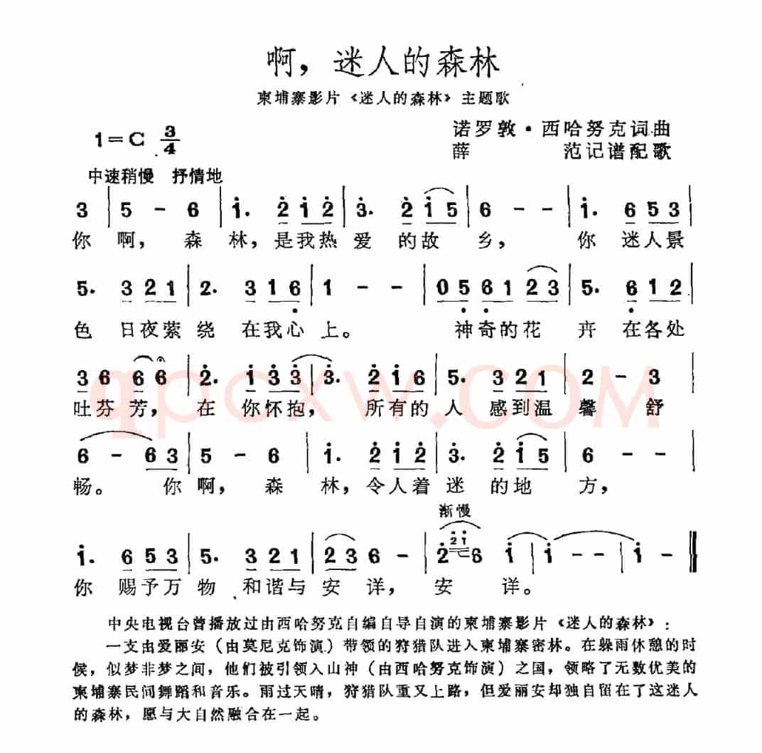 [柬埔寨]啊，迷人的森林