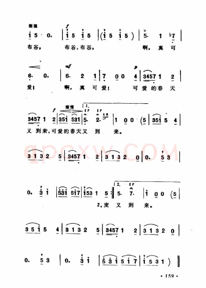 [英]布谷
