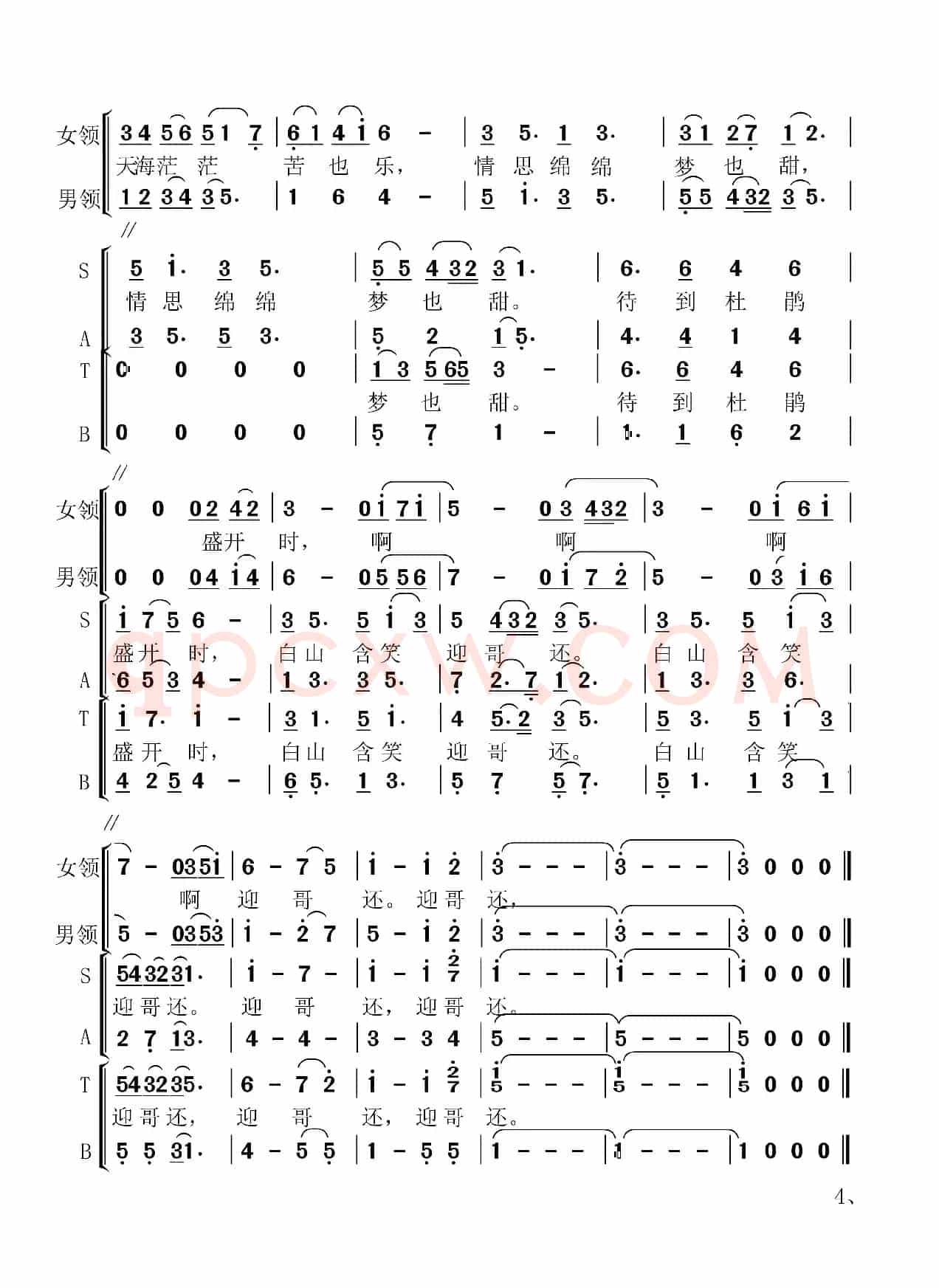 南海之恋