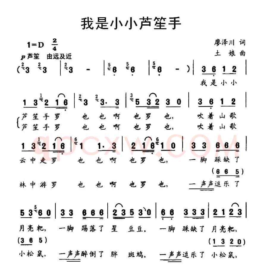 我是小小芦笙手